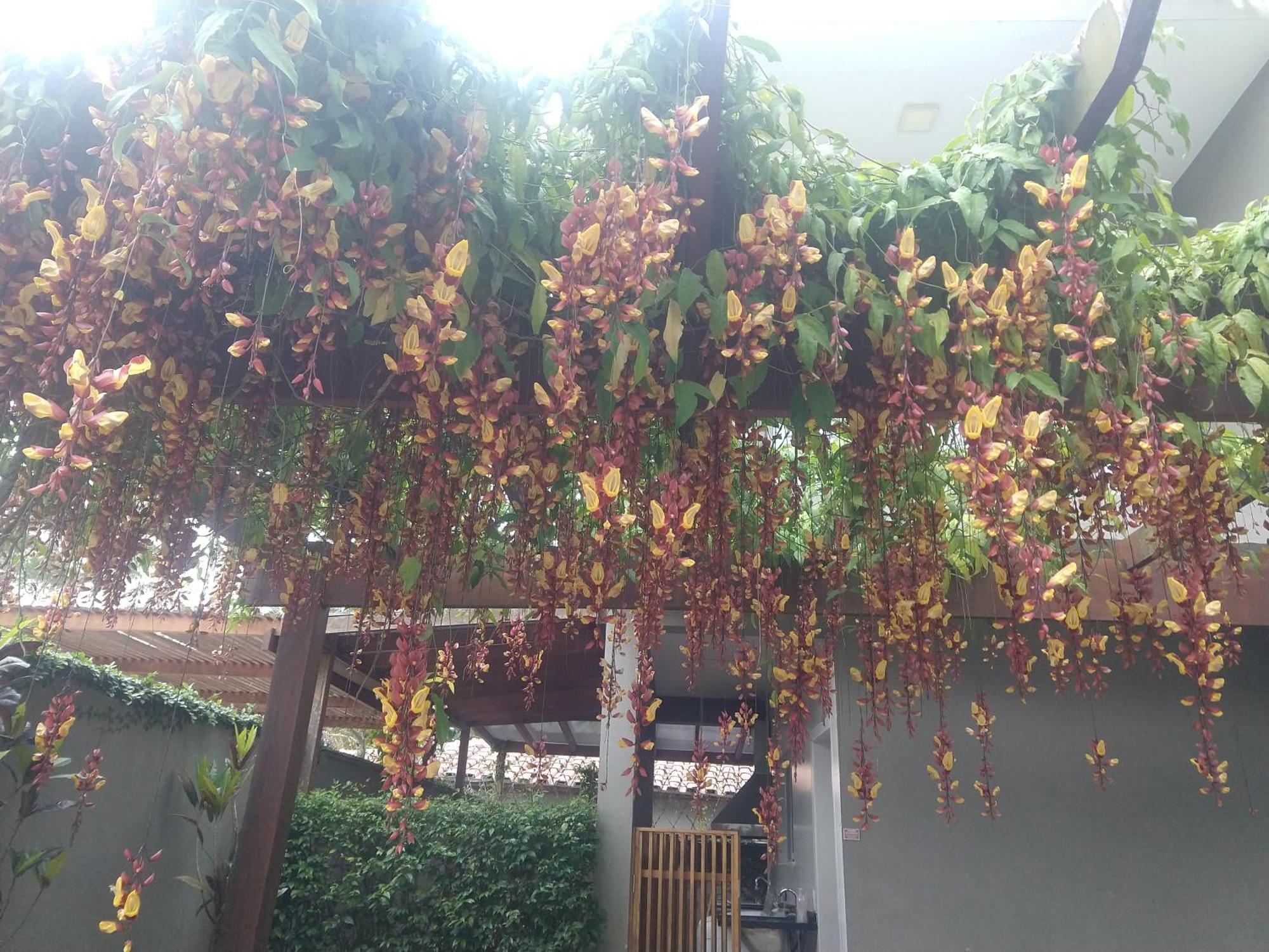 Casa Em Condominio Fechado, Ambiente Familiar Sao Sebastiao  Buitenkant foto